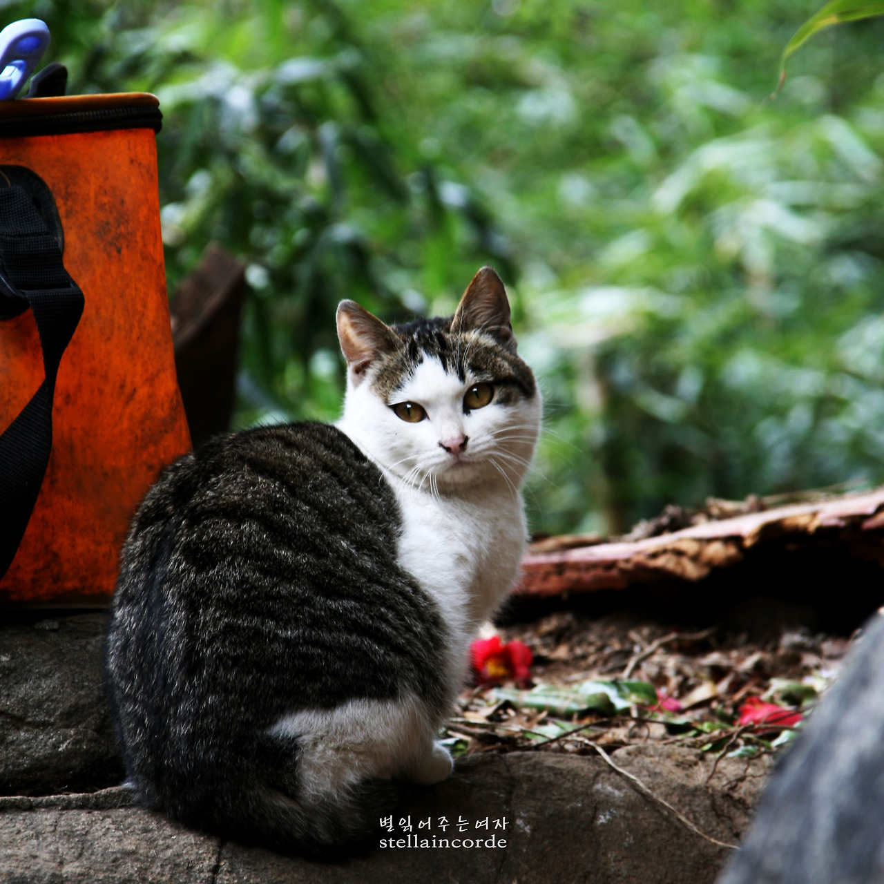 2014_0304_거제도_03 019_2.jpg