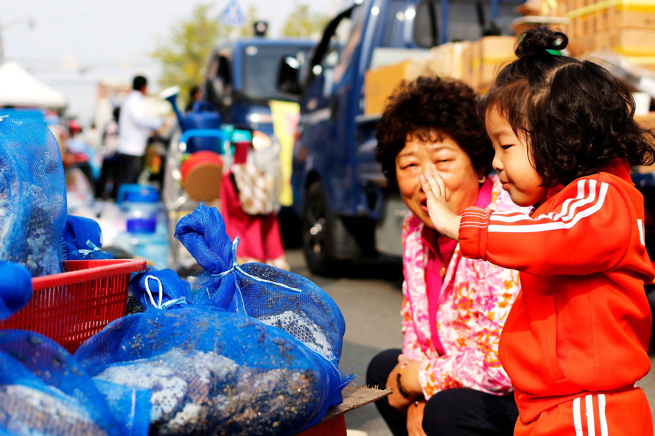 2015_1024_경주 092_1.jpg