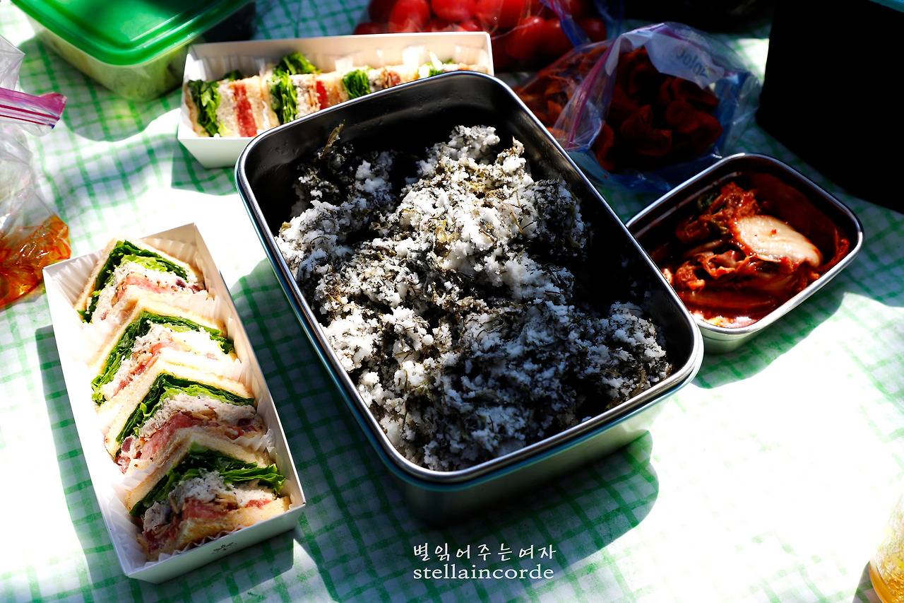 2019_0402_호암산 066_2.jpg