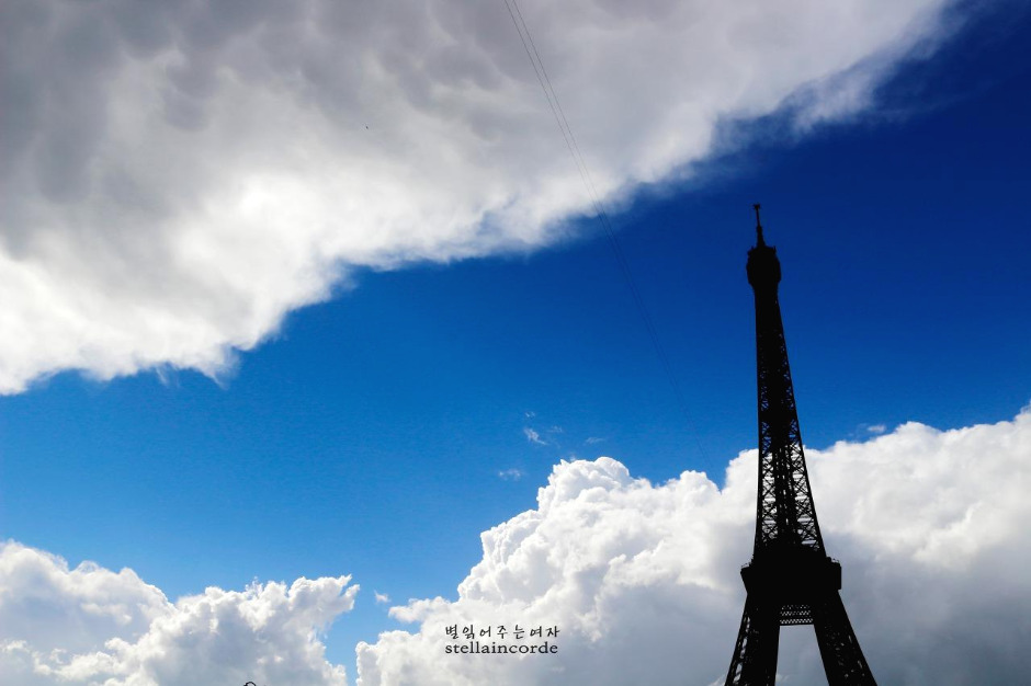 2017_06_06_paris 325_1.jpg