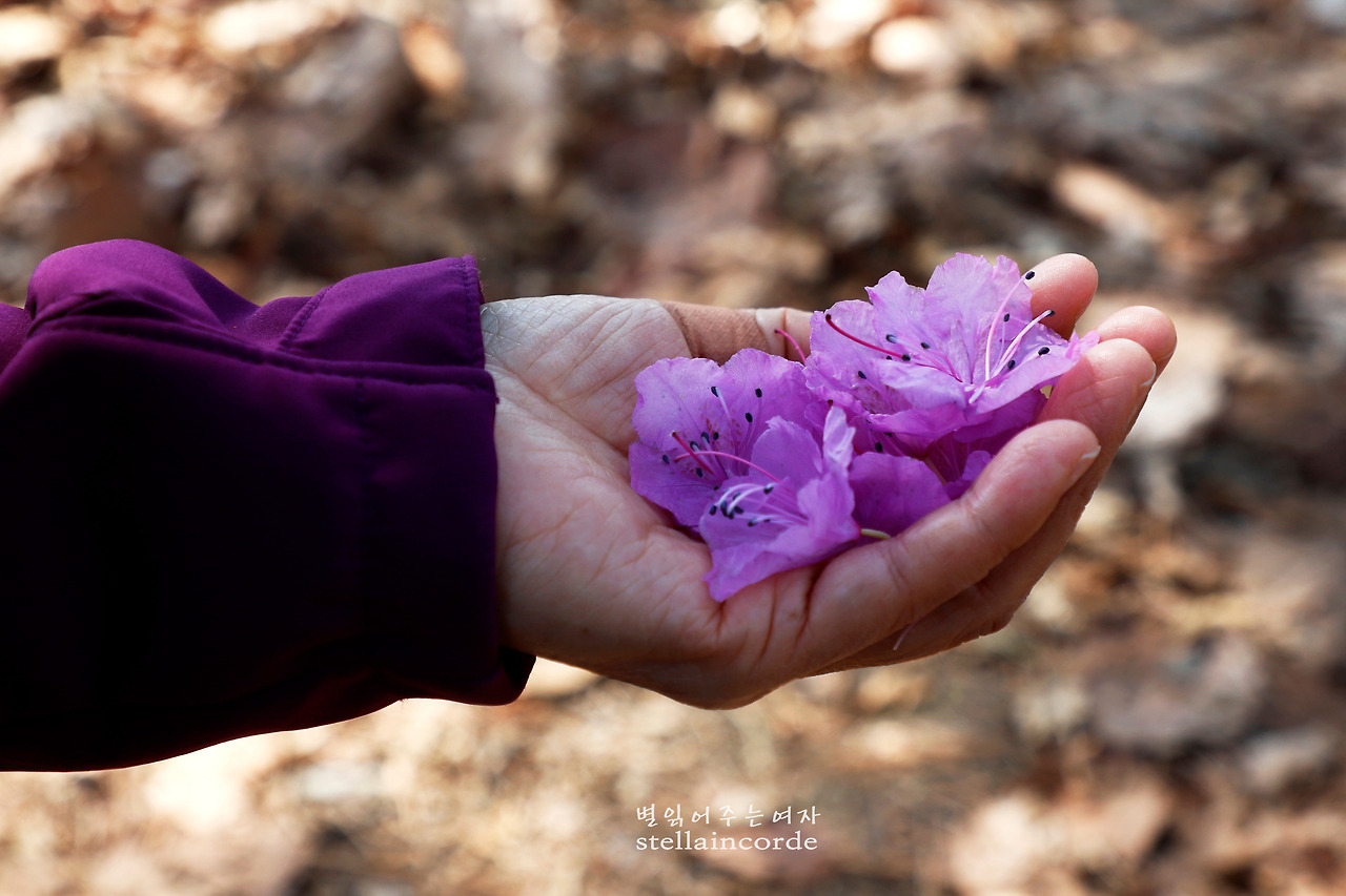 2019_0402_호암산 002_2.jpg