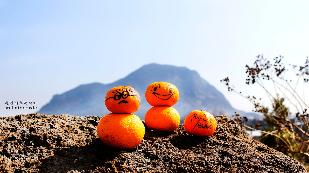 2017_0221_jeju 140_2.jpg