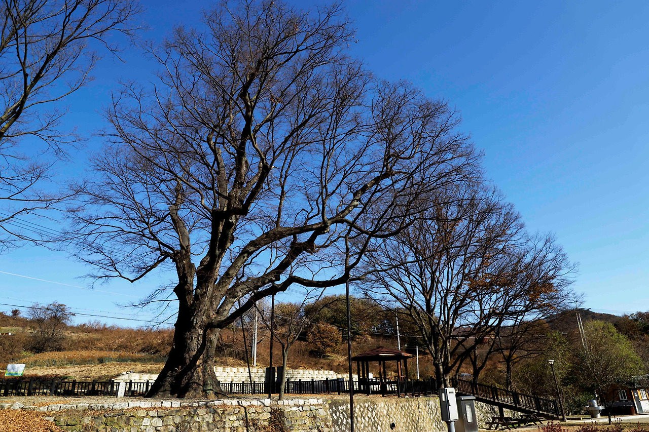 2020_1110_2 010_2.jpg