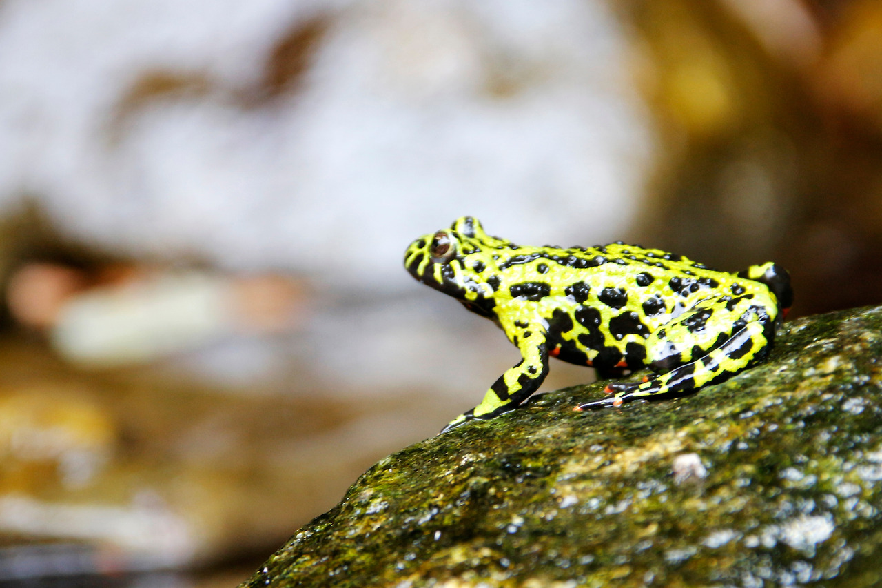 2015_0616_철원 232_1.jpg