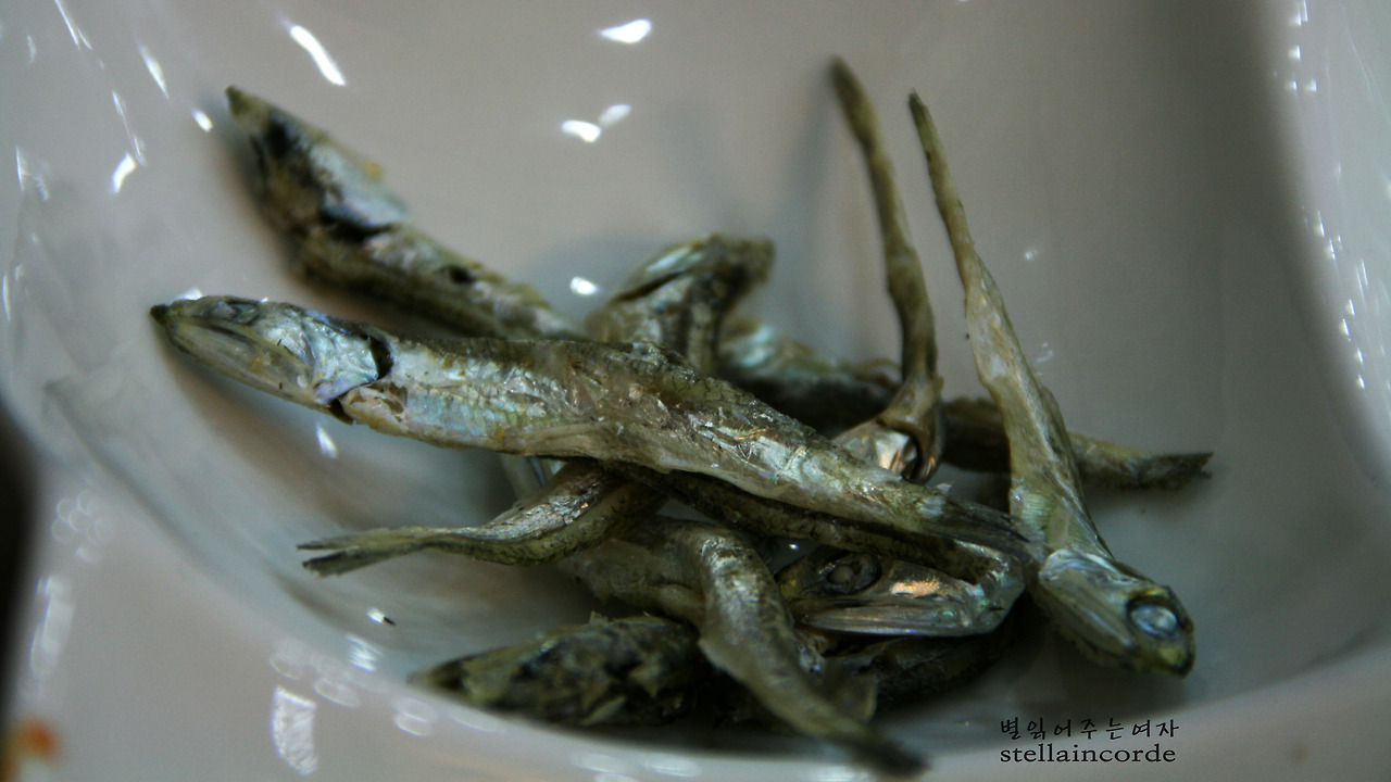 2014_0623_남해 249_2.jpg