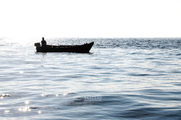 2022_07_25_tongyeong 766_2.jpg