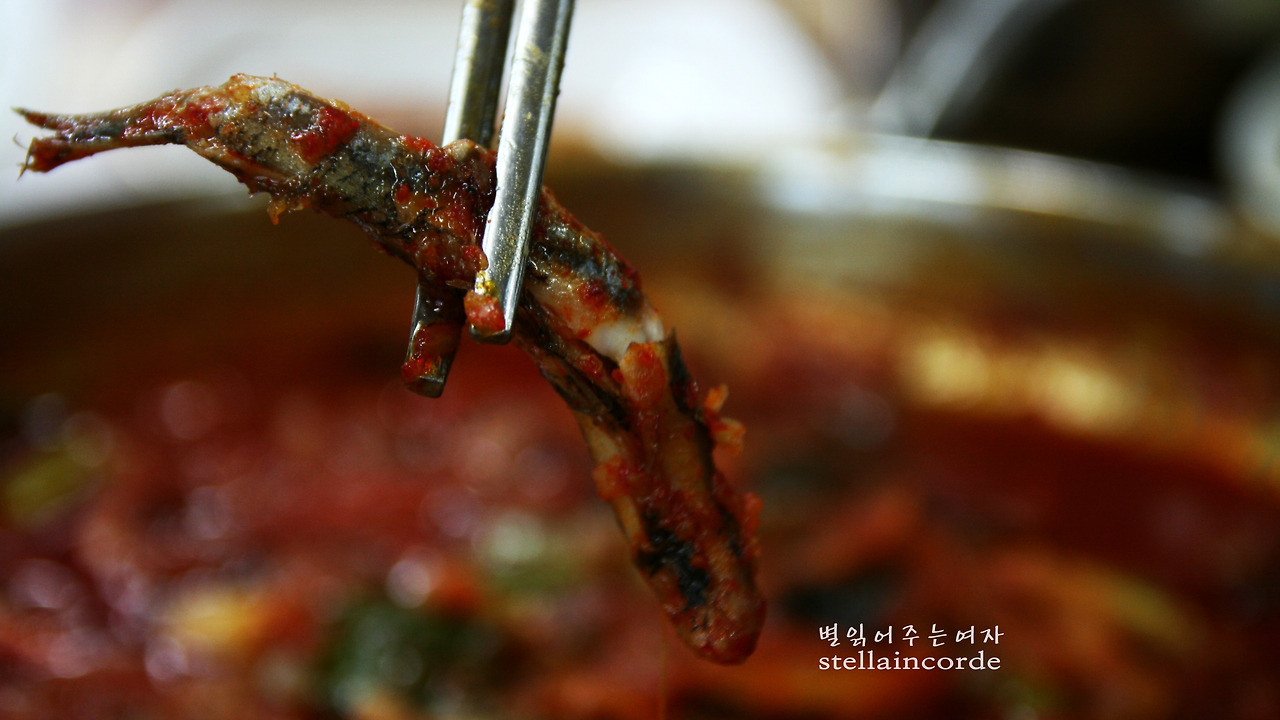 2014_0621_남해 007_2.jpg