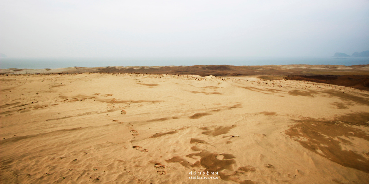 2015_1222_taean 184_3.jpg