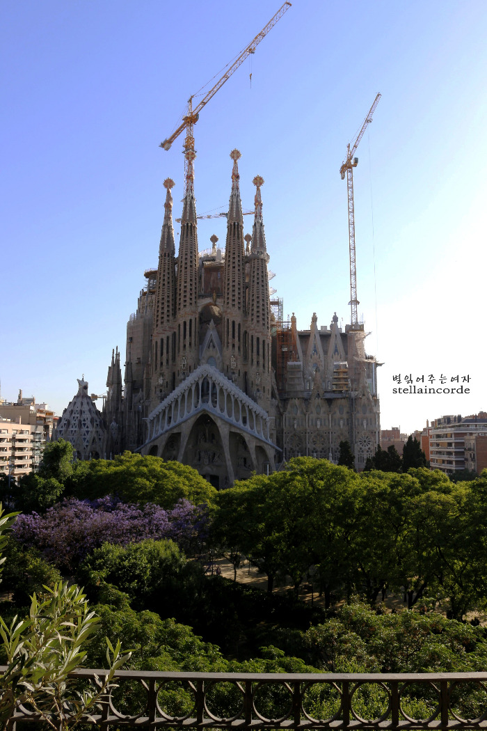 2017_0525_bcn_1 003_2.jpg