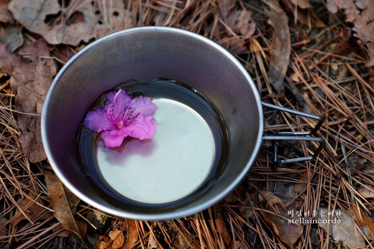 2019_0402_호암산 025_3.jpg