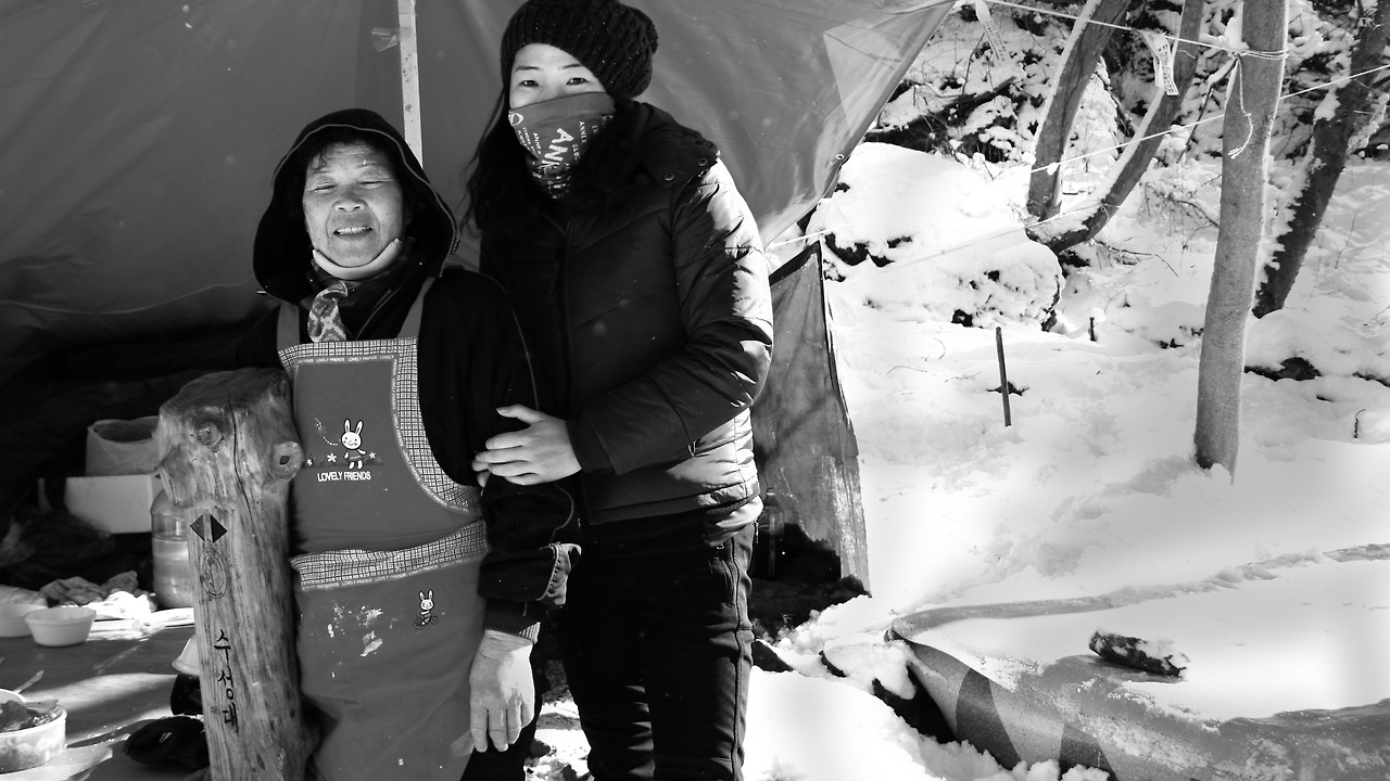 2010-jiri 328_1(배추전)_2.jpg