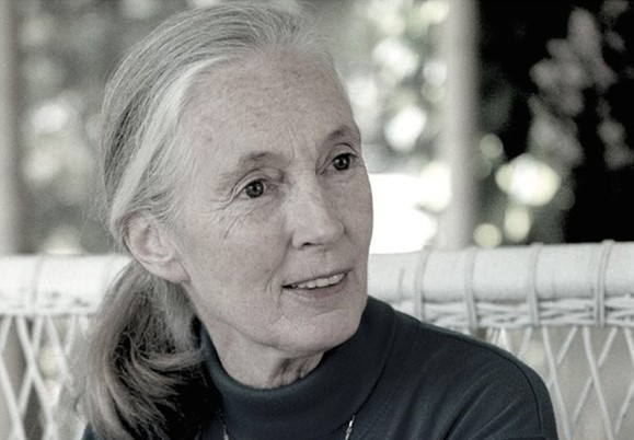 janegoodall.jpg