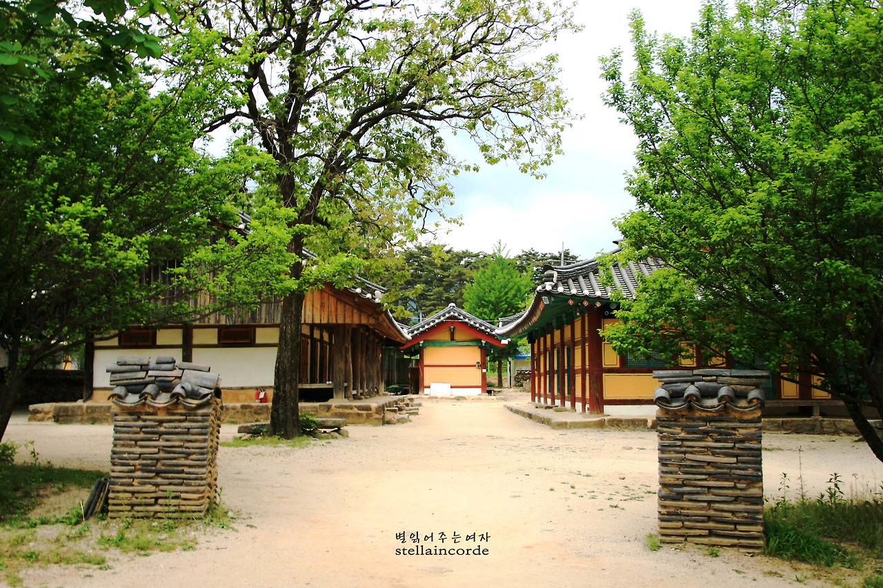 2011-06-jiri 220_2.jpg