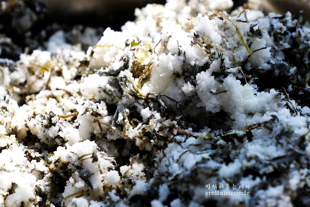 2019_0402_호암산 072_4.jpg