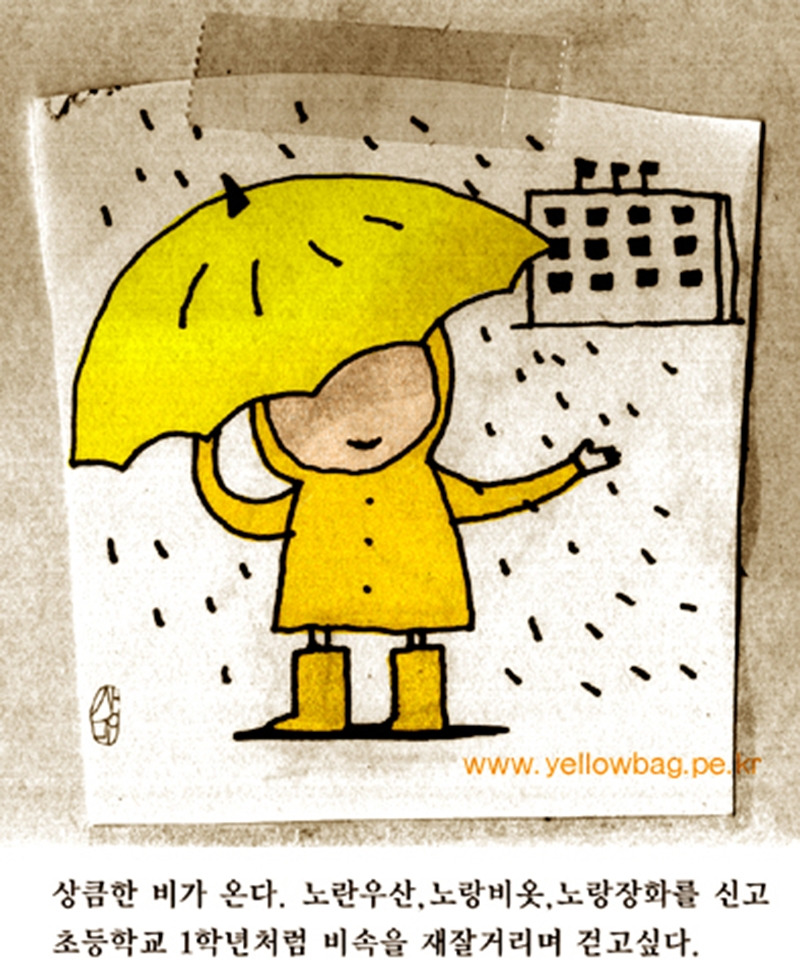 노랑비1.jpg