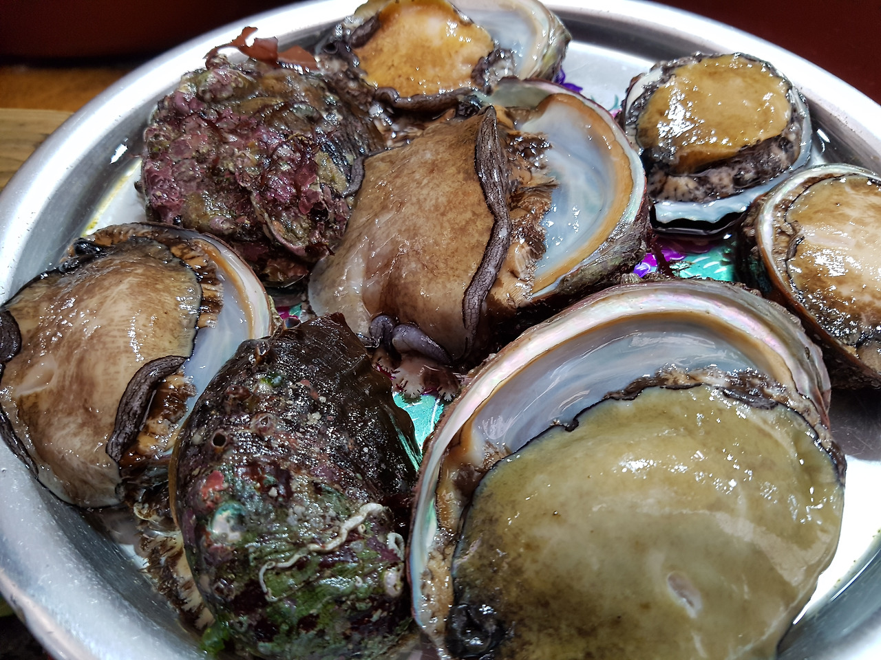 통영케이블카미륵산서호시장서피랑 (21).jpg