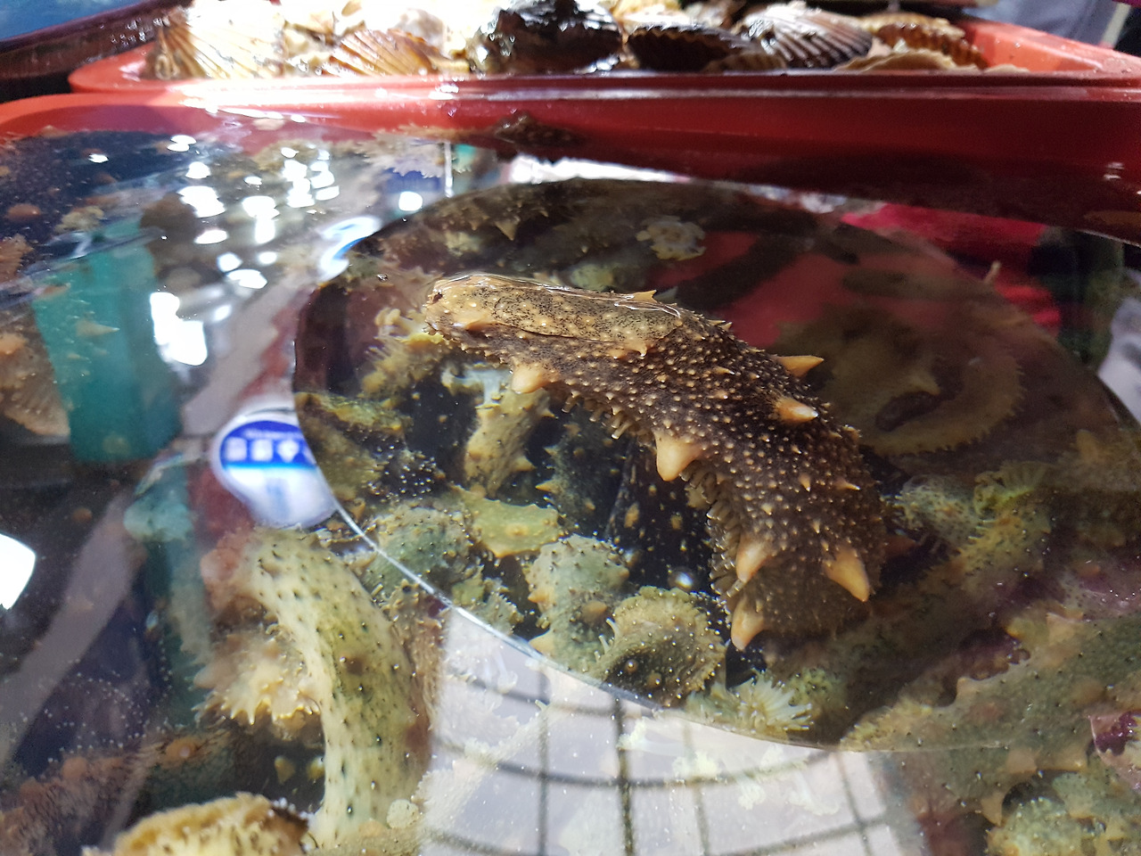 통영케이블카미륵산서호시장서피랑 (27).jpg