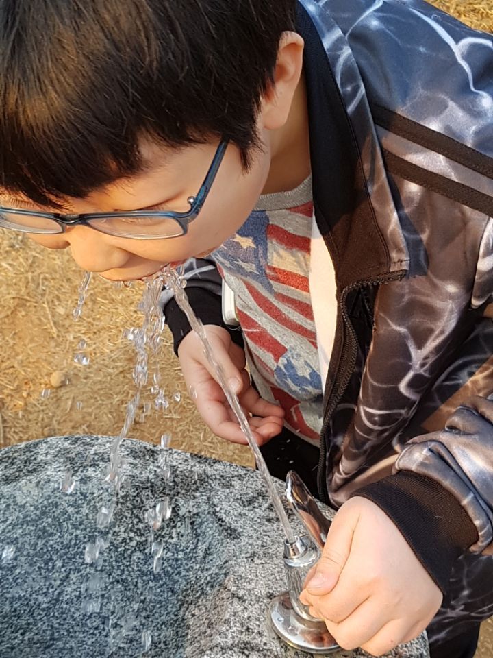 통영케이블카미륵산서호시장서피랑 (46).jpg