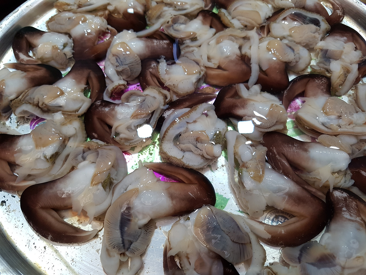 통영케이블카미륵산서호시장서피랑 (19).jpg