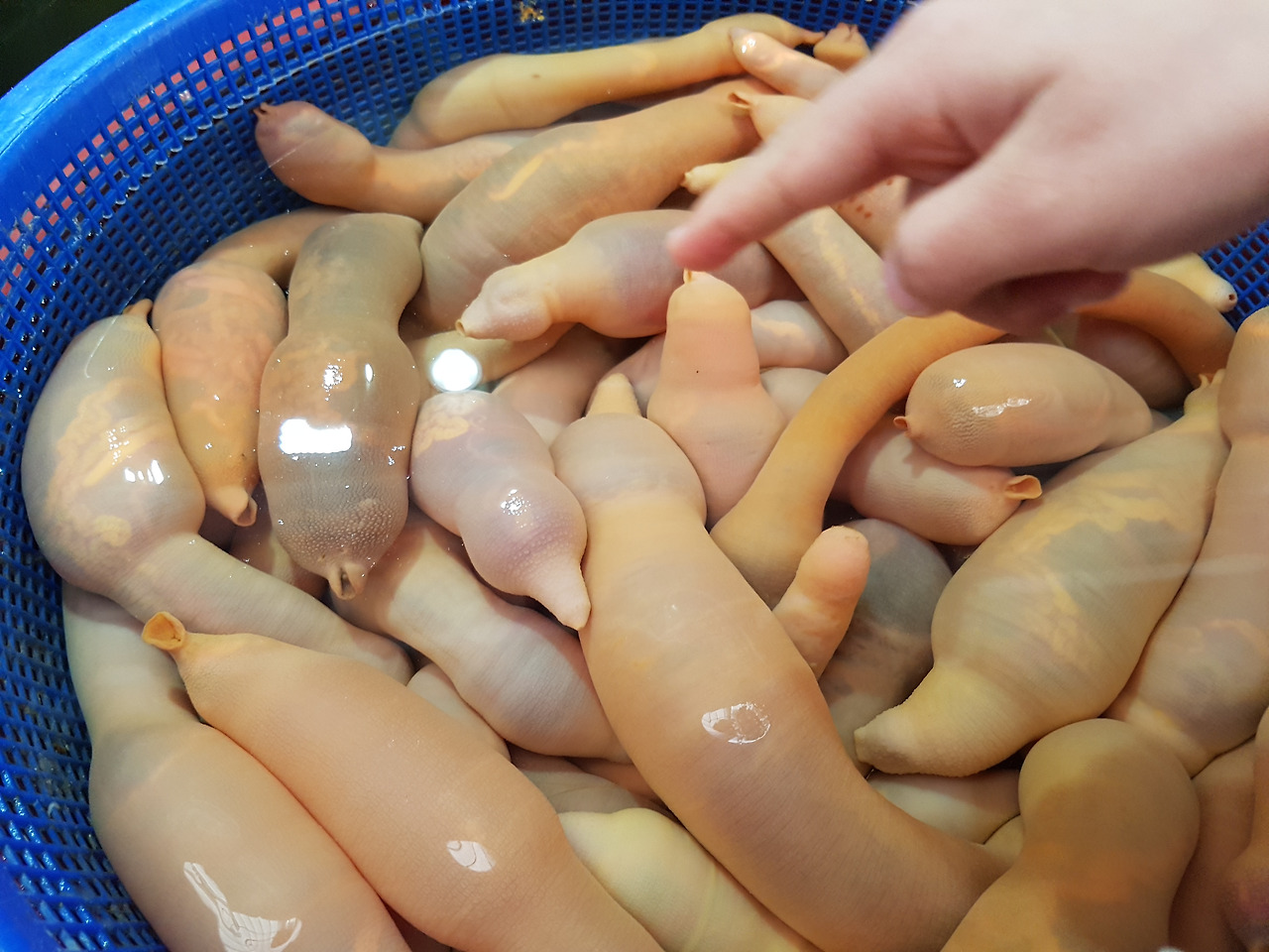 통영케이블카미륵산서호시장서피랑 (23).jpg