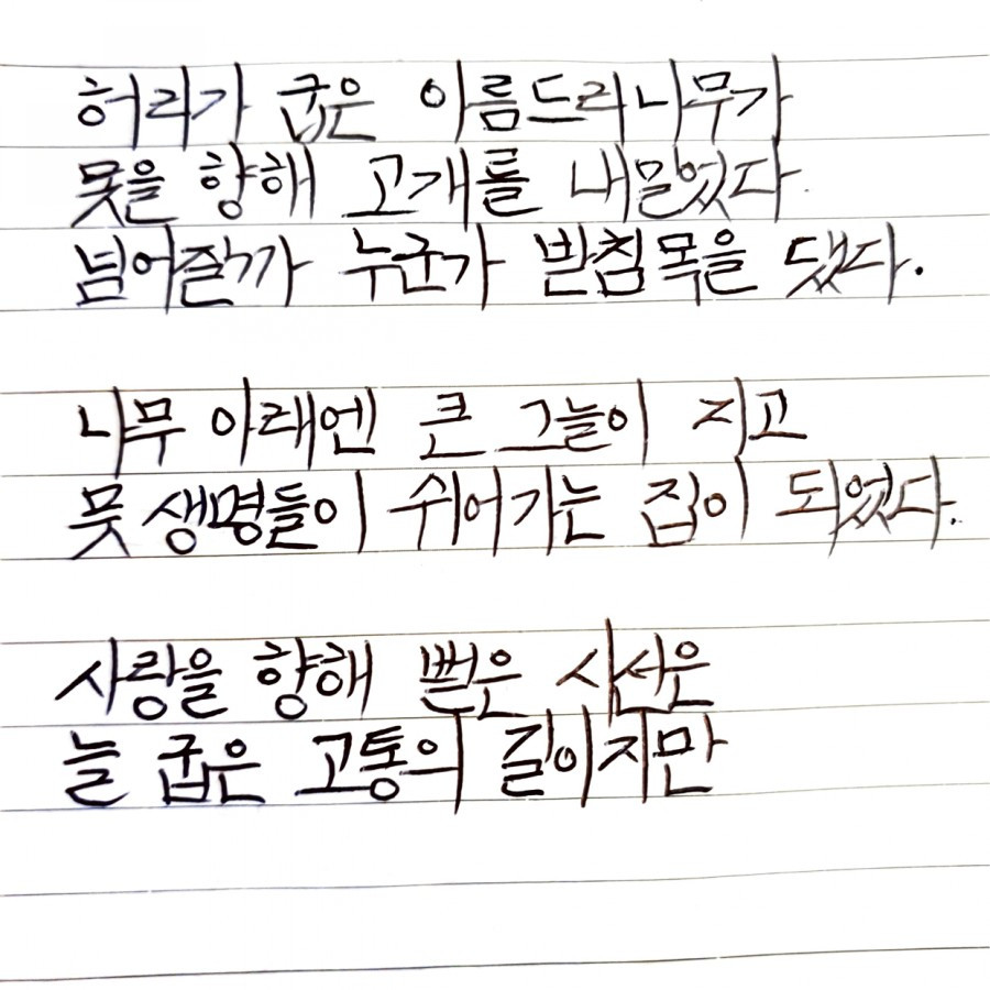 폭 젖은 나무2.jpg