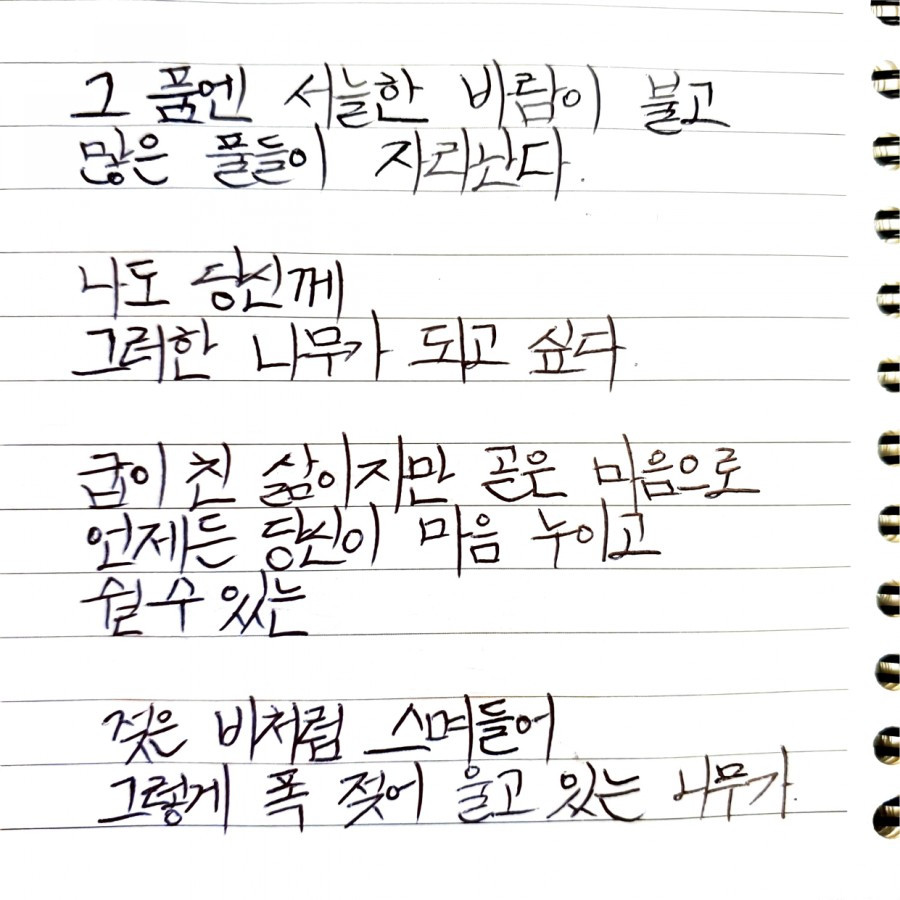 폭 젖은 나무3.jpg