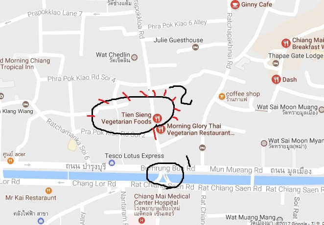 치앙마이 채식당 2_1.jpg