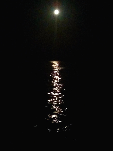 2012-2013 세계여행 1490.jpg