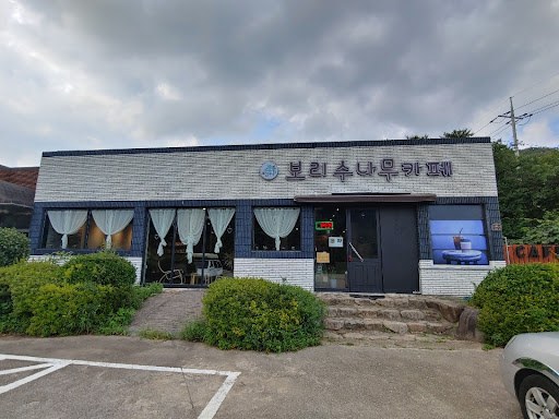 보리수나무카페 1.jpg