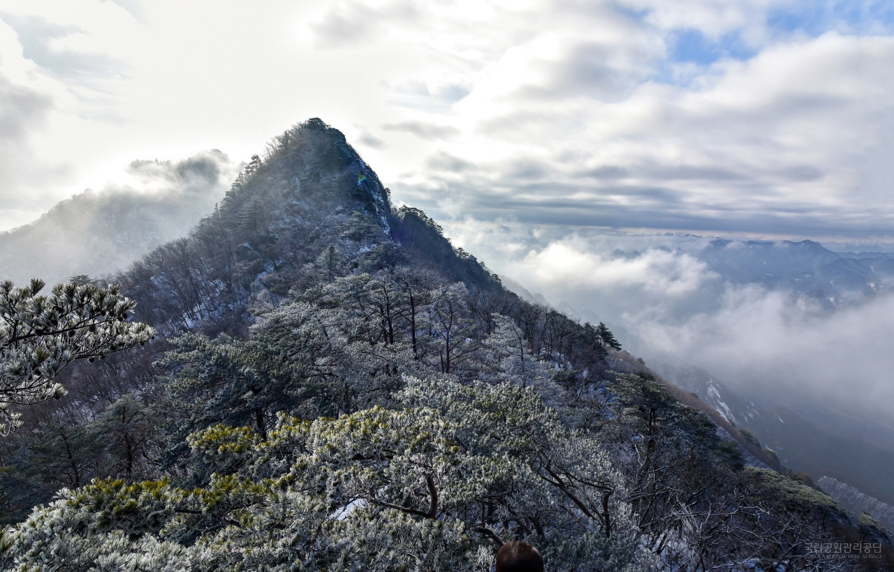 원월악산_국립공관리공단.jpg