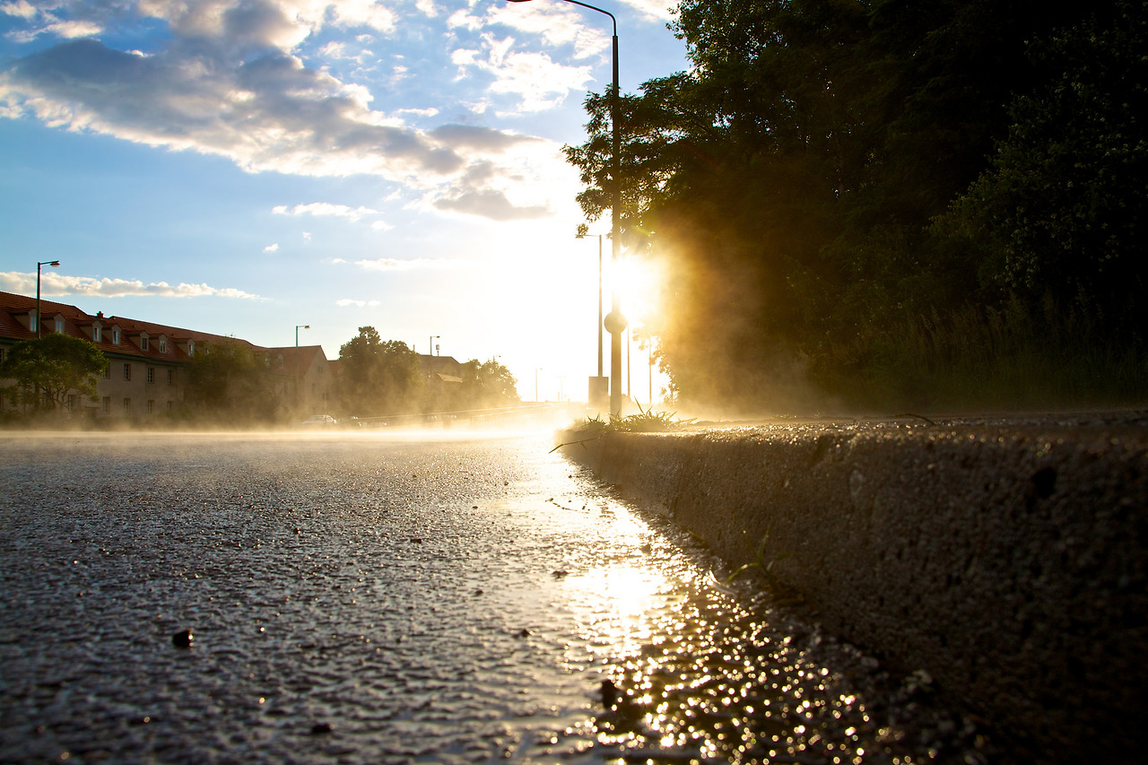 after the rain_robert_flickr.jpg