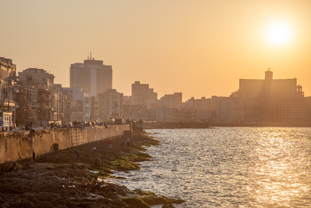 말레꼰 출처www.stars.hansung.co.kr.jpg