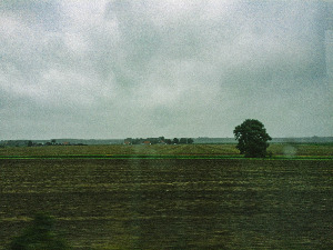 덩케르크 이동_53.jpg