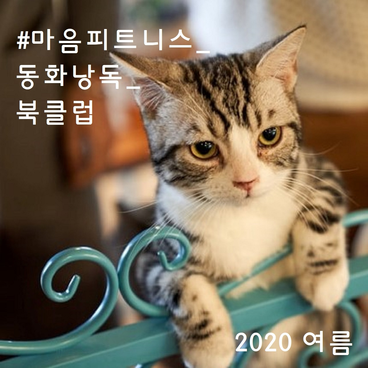 마음피트니스_낭독북클럽.jpg