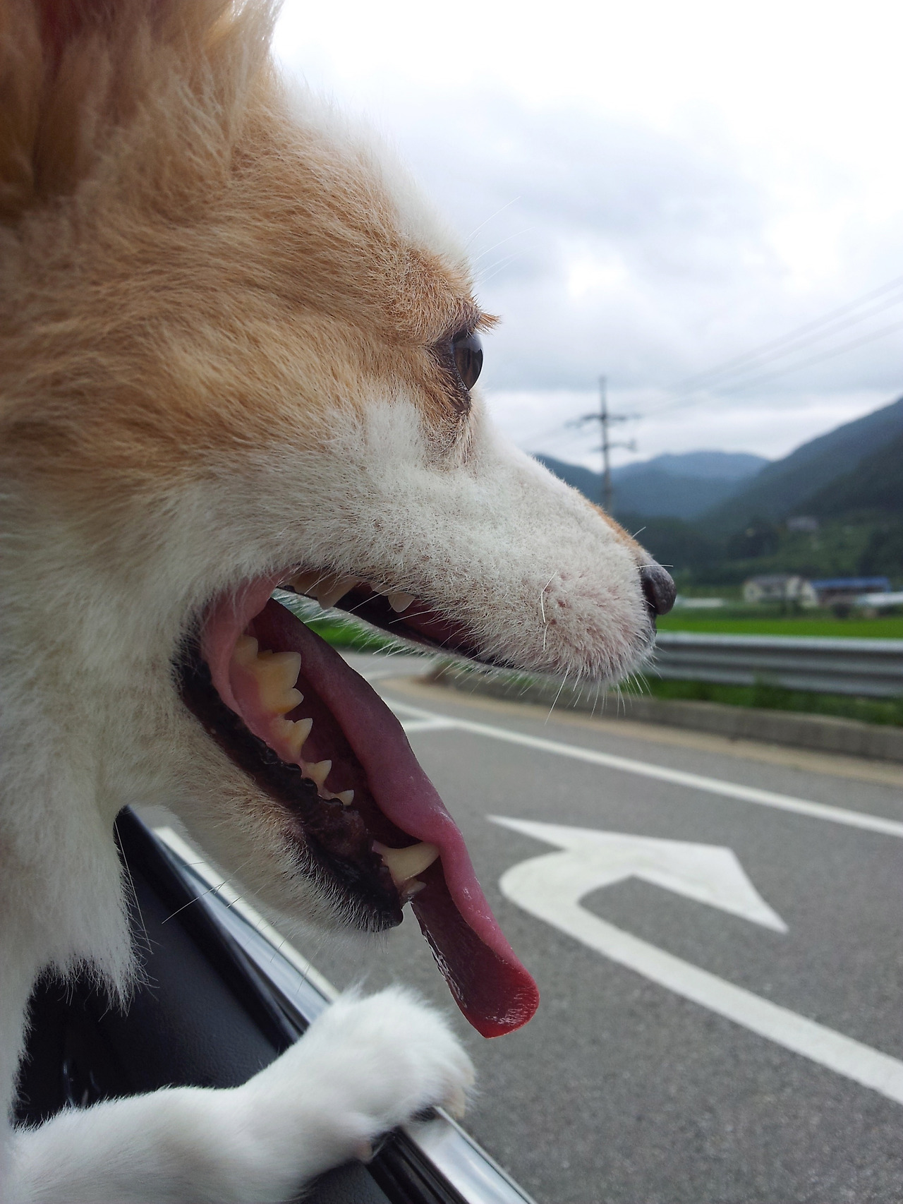 2011-07-31 12.29.52.jpg