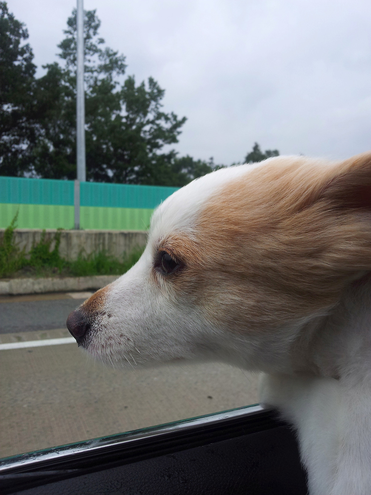 2011-07-31 11.41.04.jpg