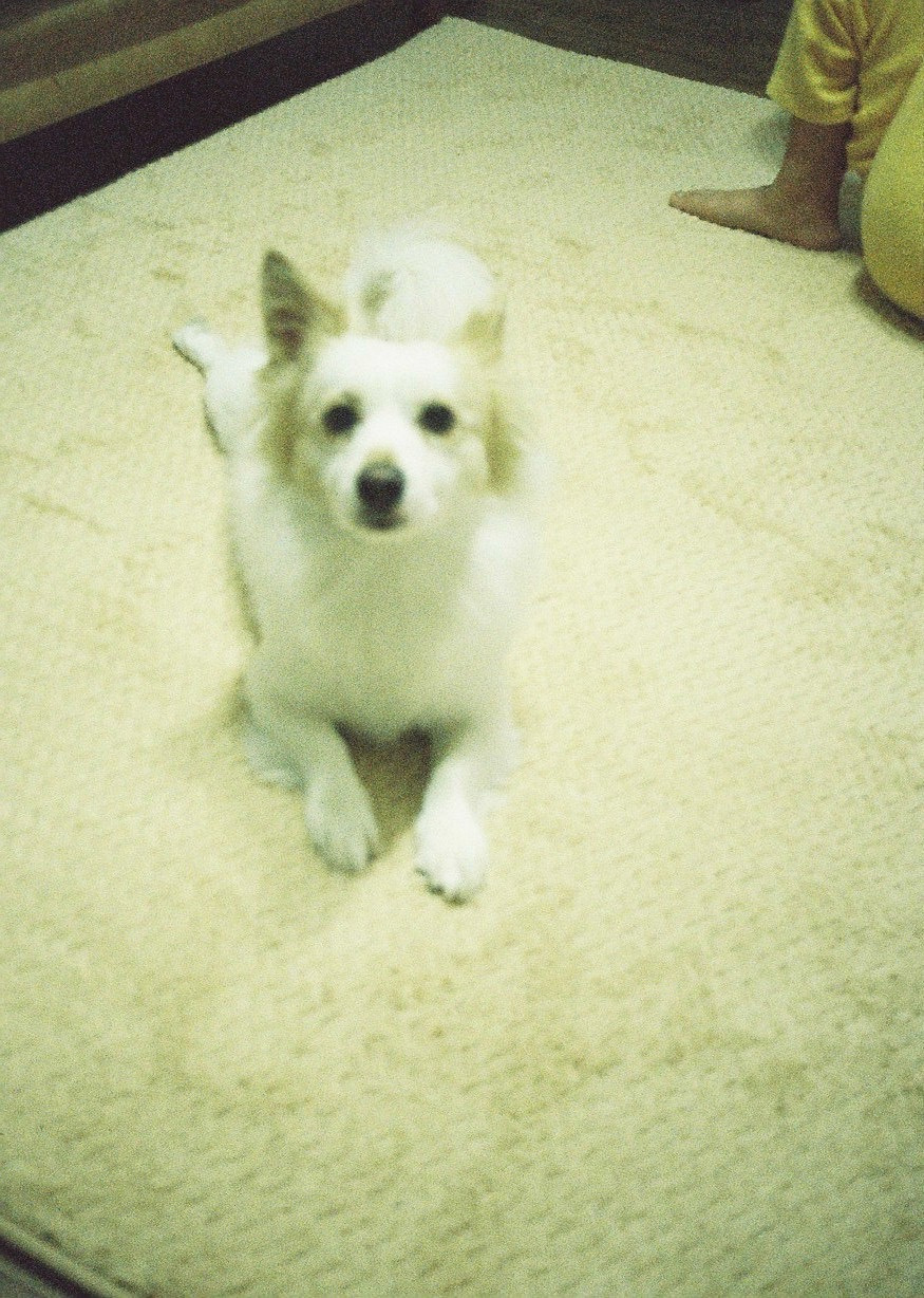 0006 - 복사본.jpg