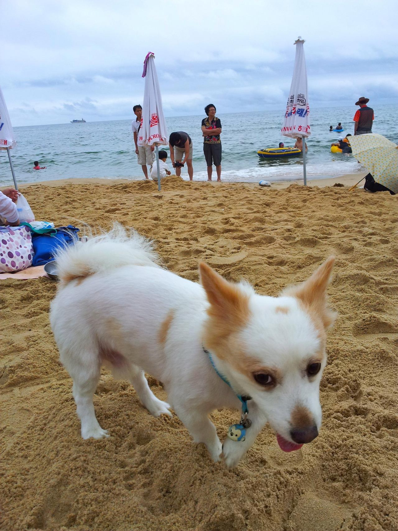 2011-07-31 16.37.07.jpg