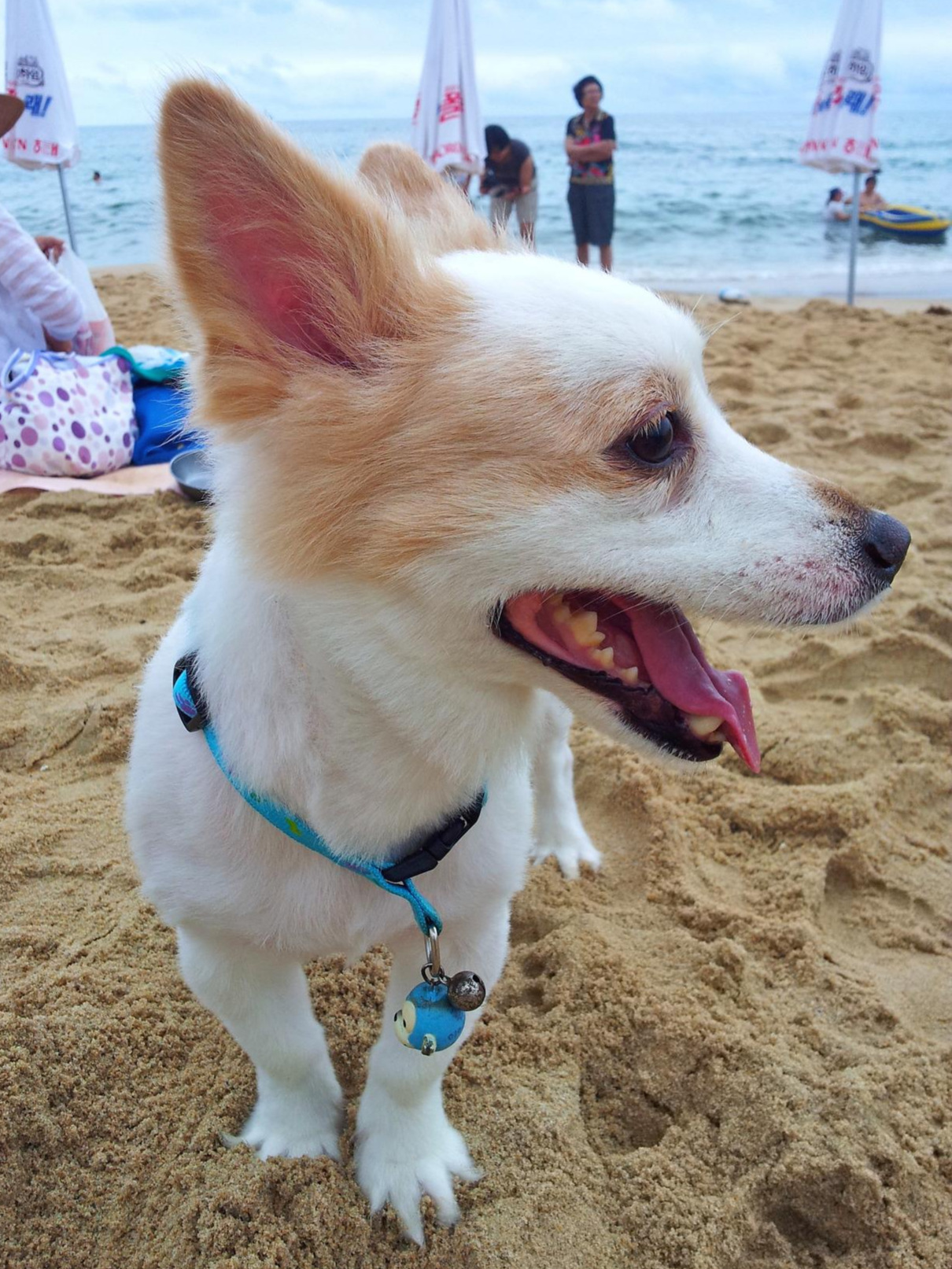 2011-07-31 16.36.57.jpg