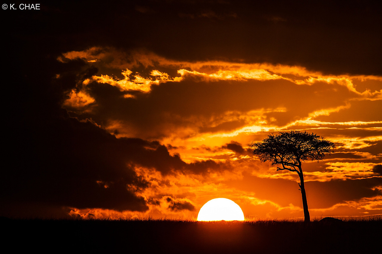 Photo Aug 15, 12 37 36 AM.jpg