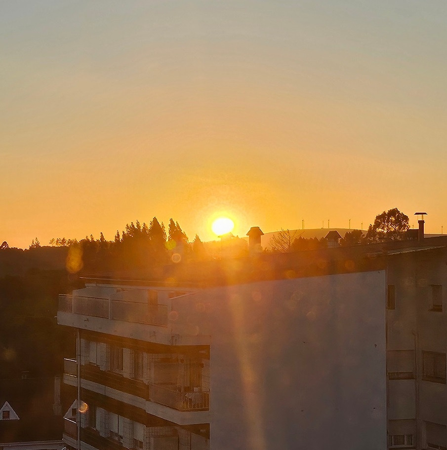 다운로드 (22)_2.jpg