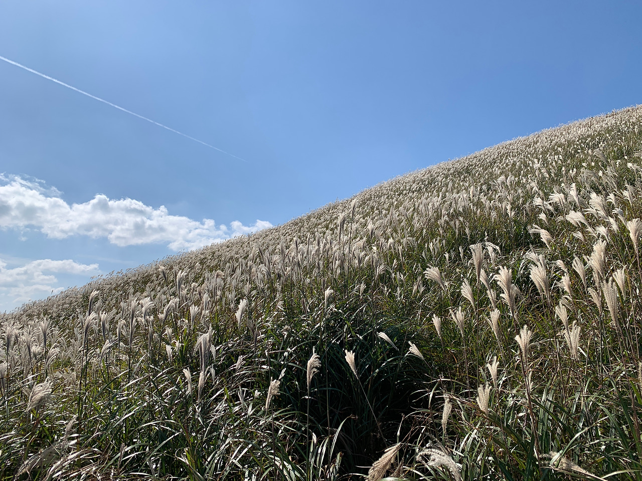 2019-10-16 11.01.17.jpg