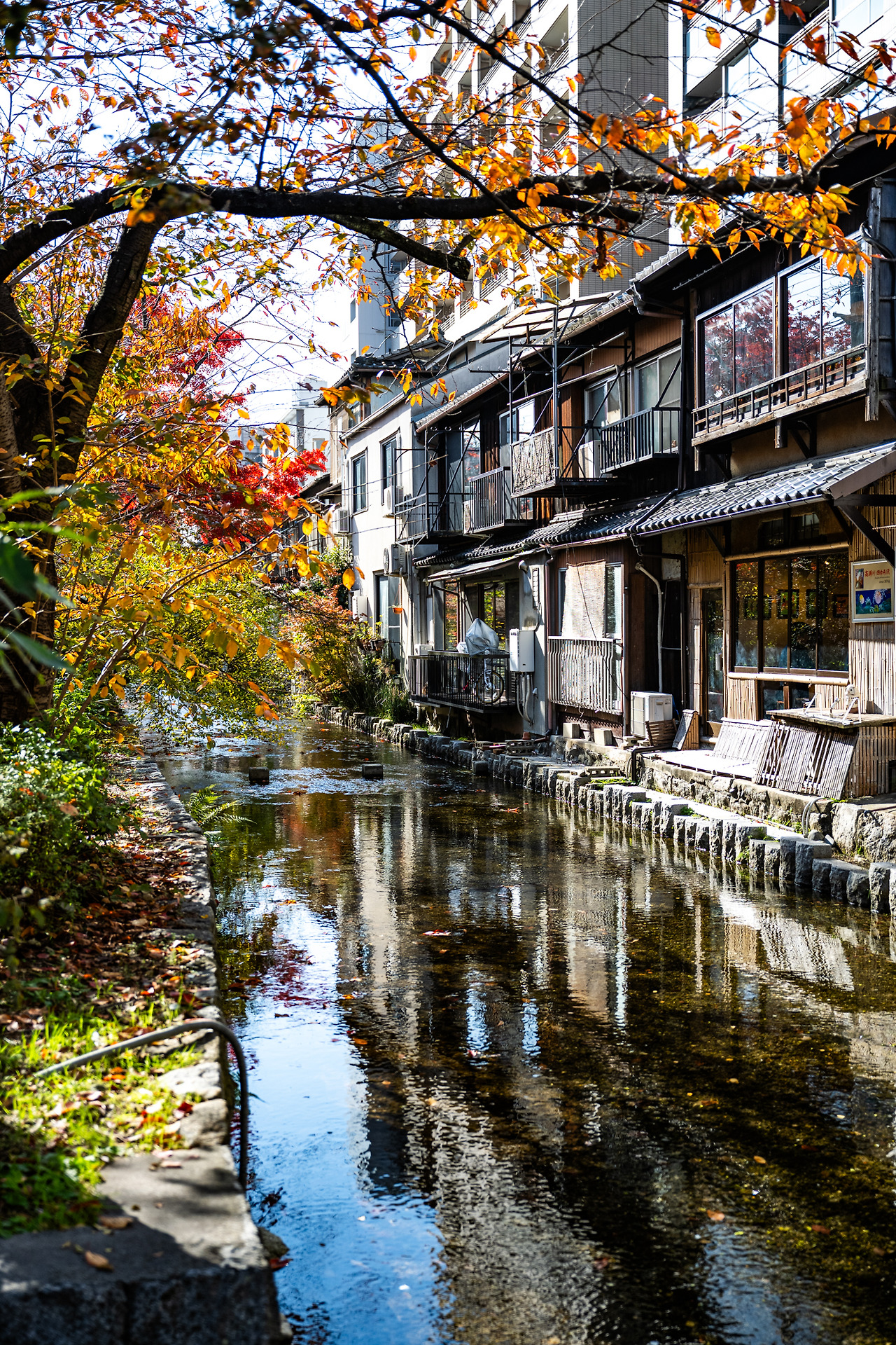 0719 kyoto (59)-1.jpg