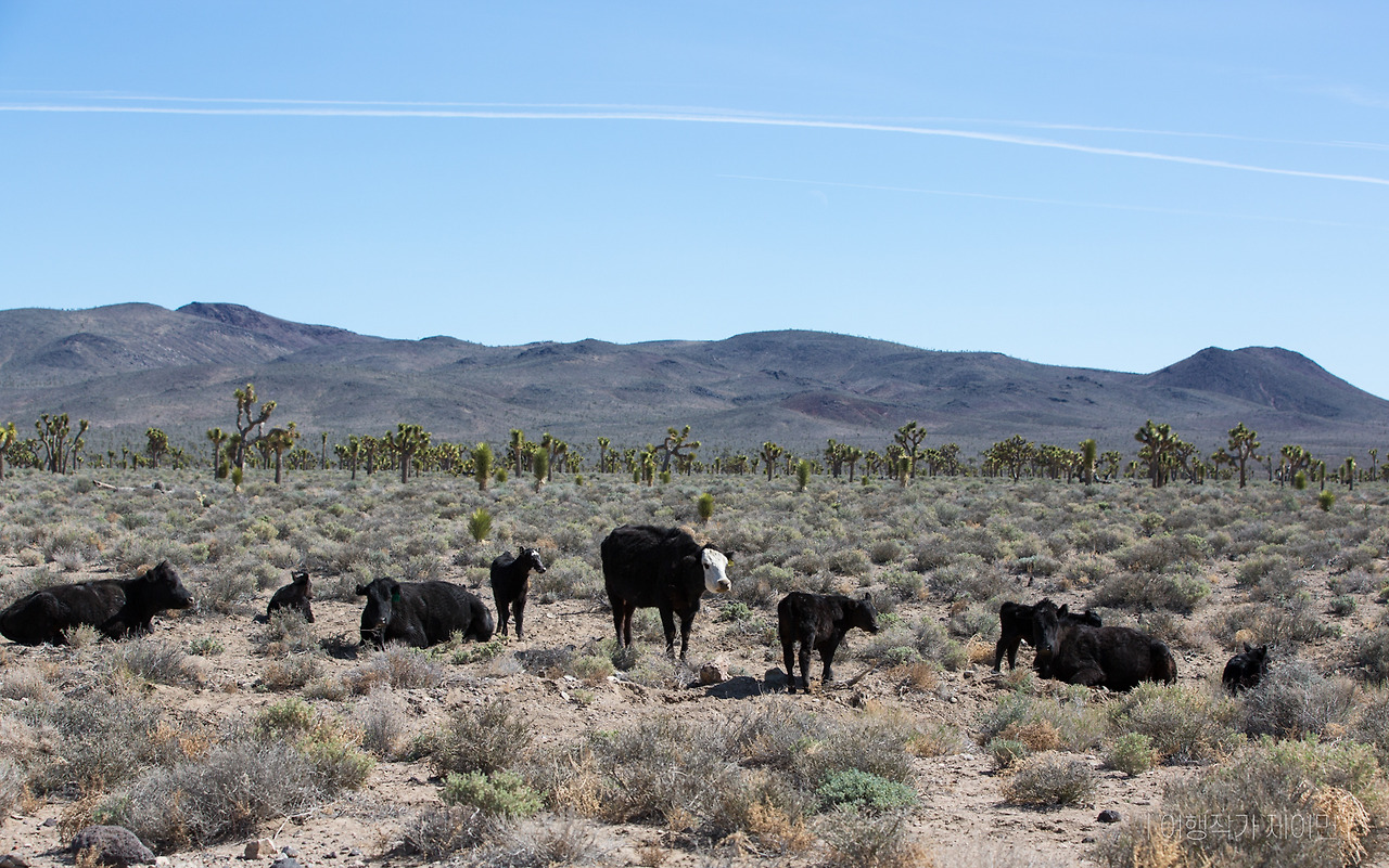 361 이미지컷 (2)-1.jpg