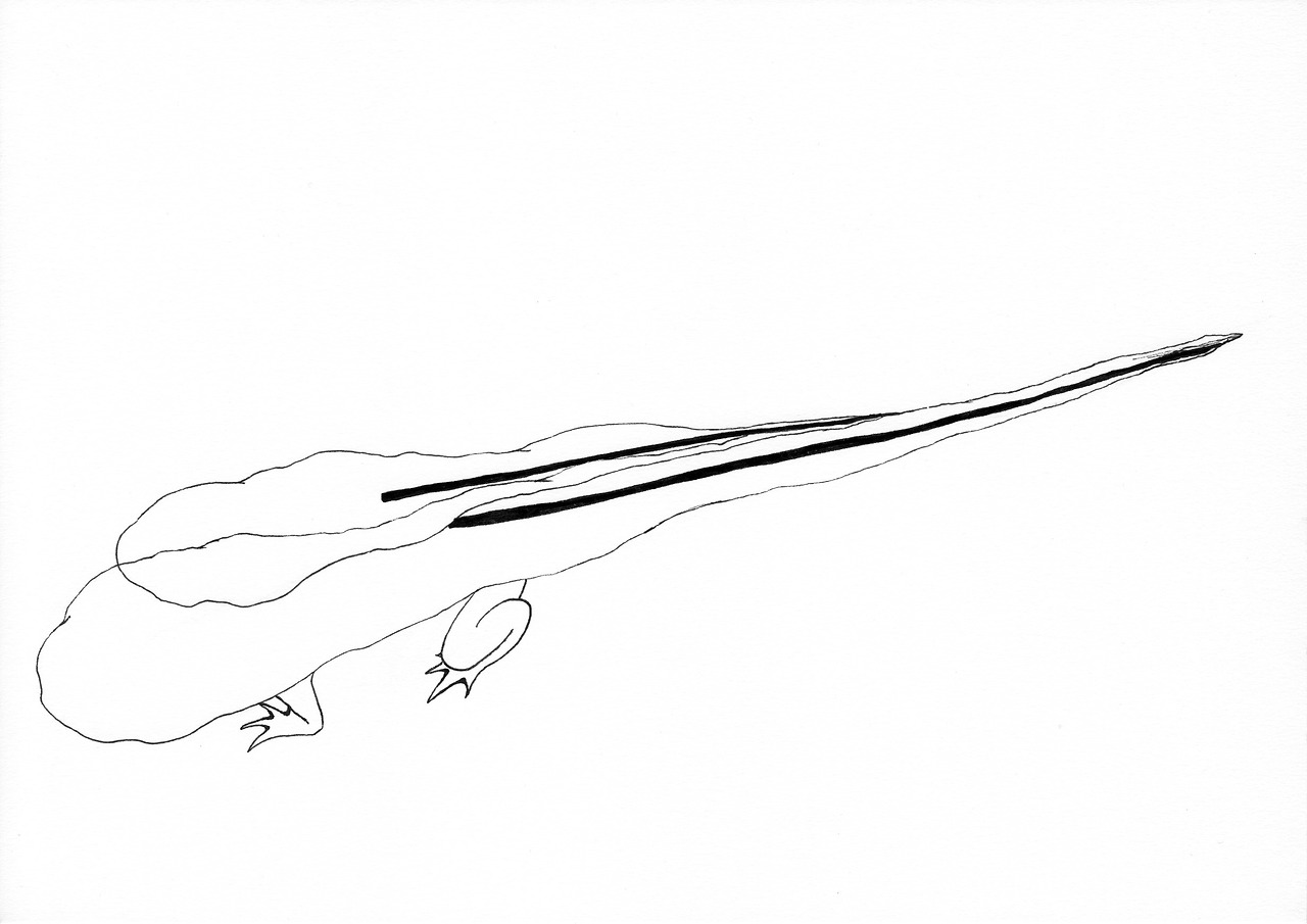 쉐프의 드로잉 8-3.jpg