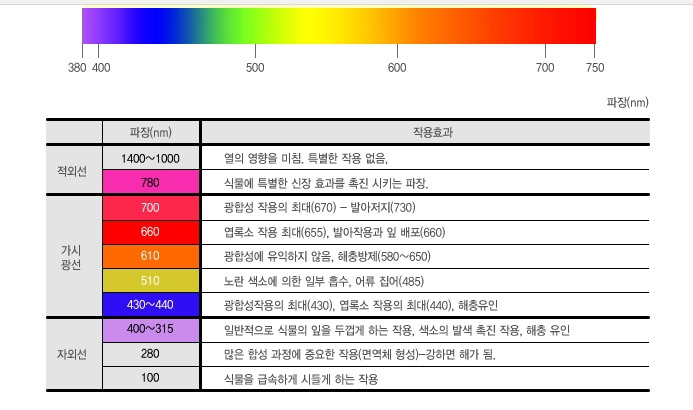 0042가시광파장대별식물에미치는효과.jpg