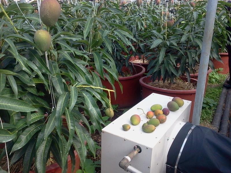 2012-02-15 14.04.20.jpg