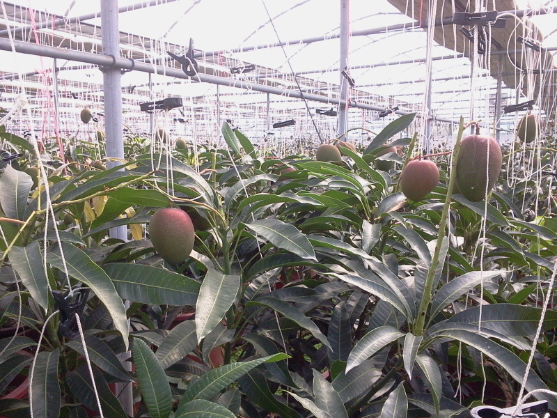 2012-02-15 14.04.38.jpg