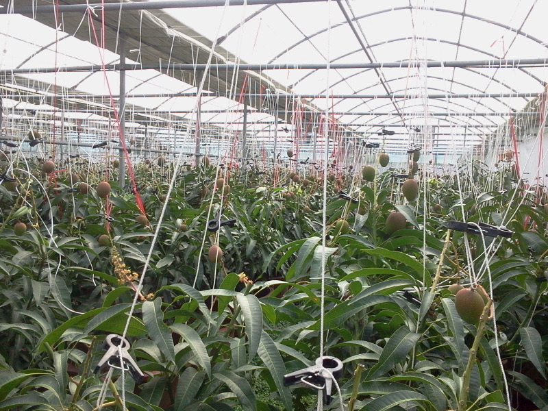 2012-02-15 13.54.32.jpg