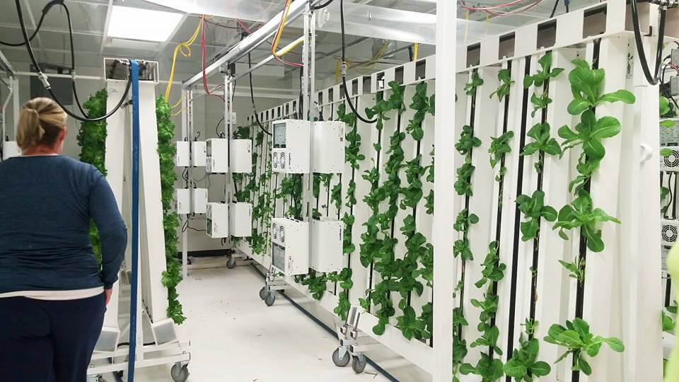 brightagrotech_com_zipfarm001.jpg